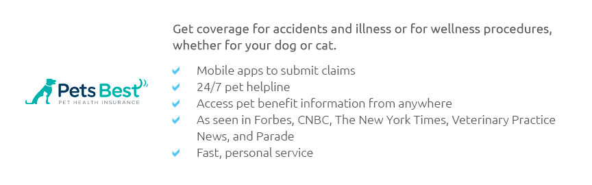 What Is Lifetime Cover Pet Insurance What Is Lifetime Cover Pet Insurance